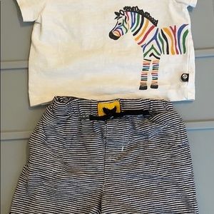 Zebra tee shirt and shorts